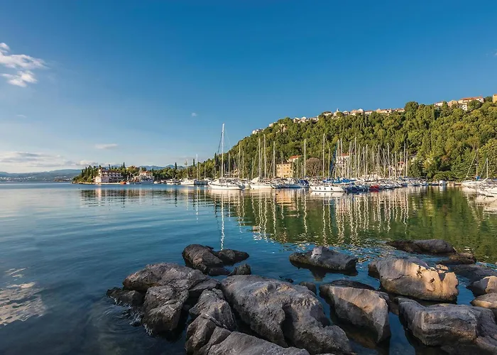 Apartment Lovely In With Wifi *